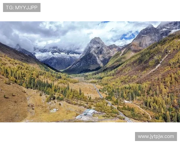 十日天堂：一次触及灵魂的奇幻之旅